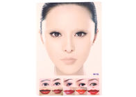 Eyeliners/Lippentatoegering die de Permanente Kleurrijke Huid opleiden van de Make-uppraktijk