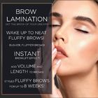De luxebrow-Zweep van Lamineringskit permanent makeup instant fuller